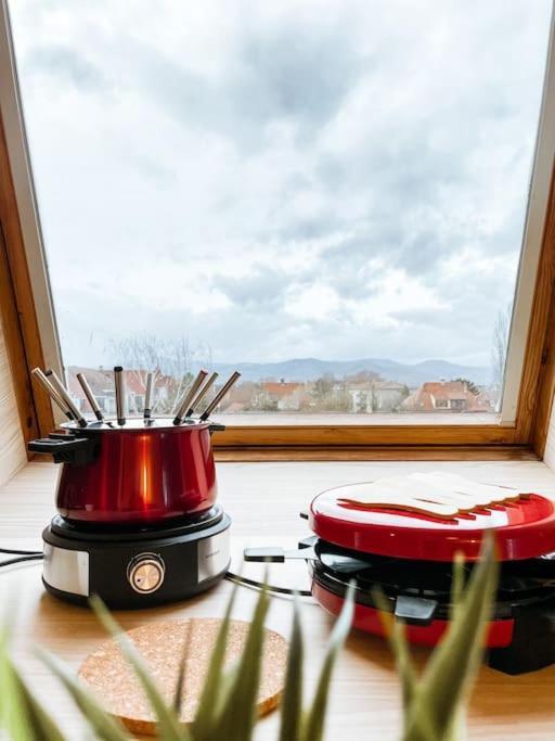 Lumineux Avec Vue Sur Les Vosges Apartment Colmar Ngoại thất bức ảnh